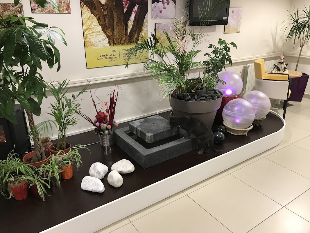 EHPAD Les Jardins de la Vire - Photo 5 sur 5 - Environnement et extérieurs