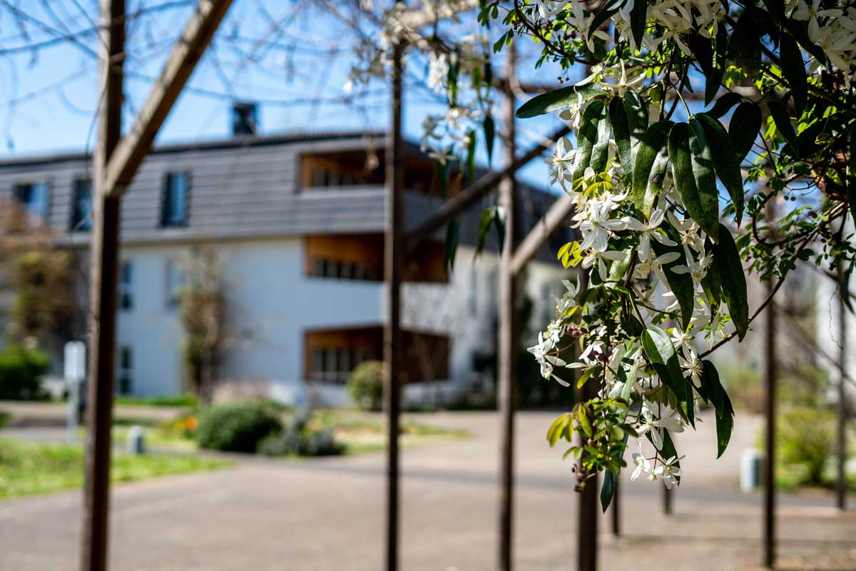 EHPAD Maison de Santé Bethel - Photo 5 sur 5 - Environnement et extérieurs