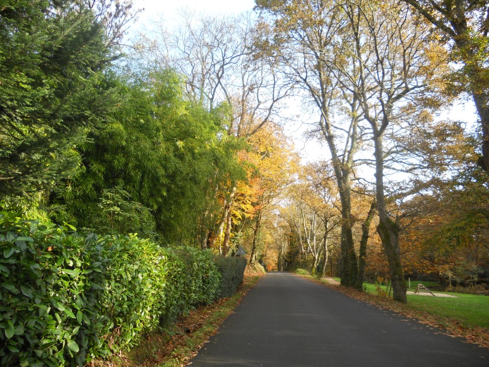 EHPAD de la Vallée de Penanros - Photo 3 sur 4 - Chambres et hébergement