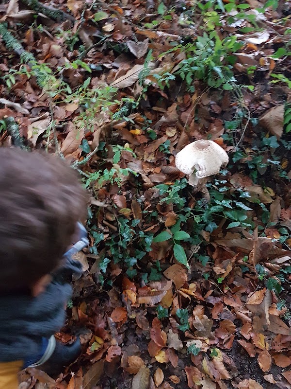 EHPAD de la Vallée de Penanros - Photo 2 sur 4 - Intérieur et espaces communs