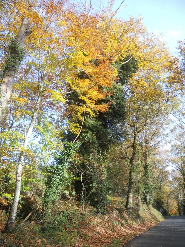 EHPAD de la Vallée de Penanros