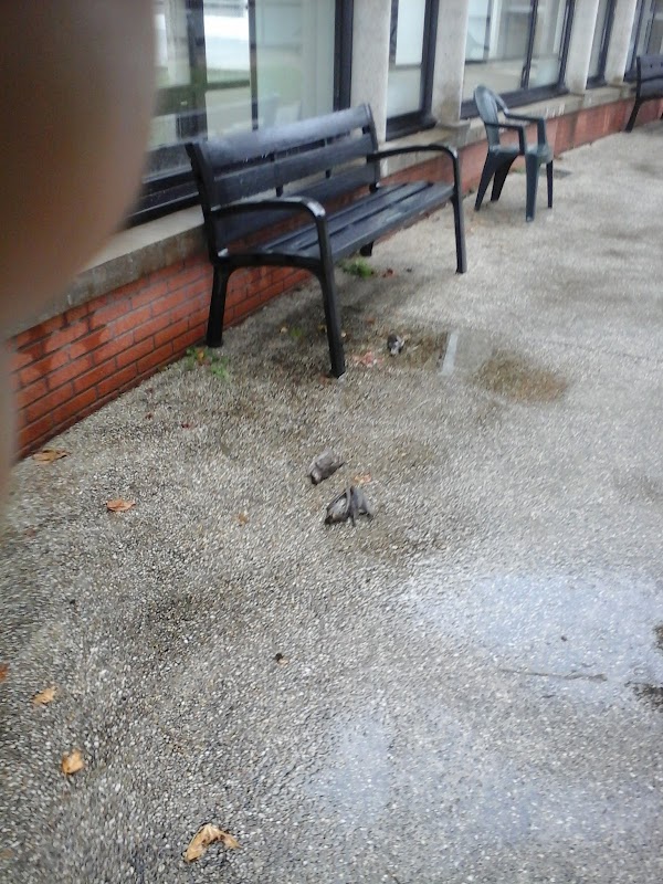 EHPAD du Centre hospitalier de la Guerche de Bretagne