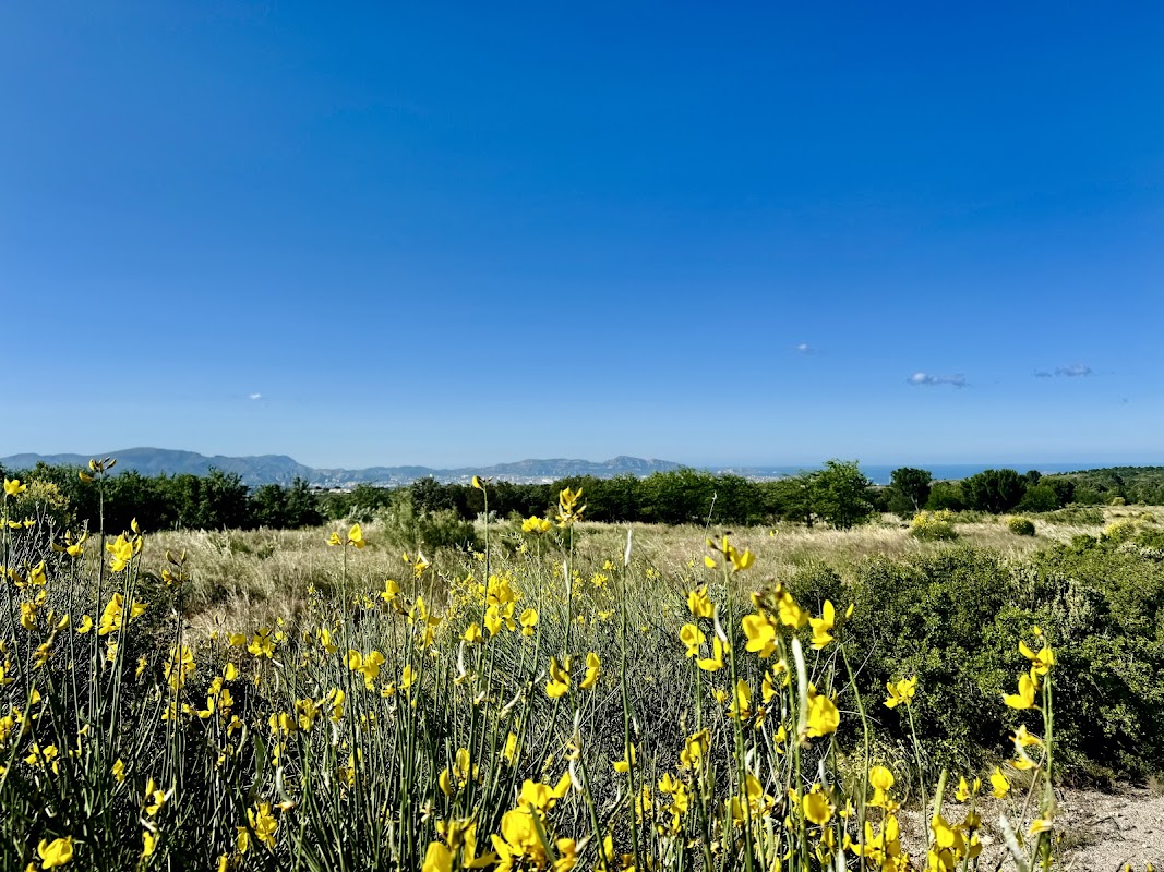 MAISON DE RETRAITE L'ELYSEE - Photo 2 sur 3 - Intérieur et espaces communs