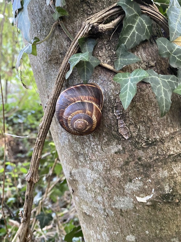USLD la Châtaigneraie - Photo 2 sur 2 - Intérieur et espaces communs