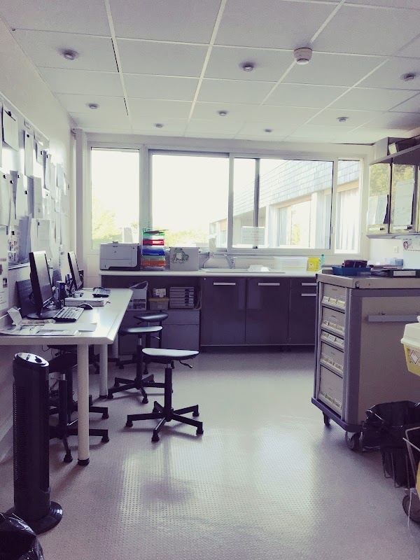 EHPAD du Centre hospitalier Lour Picou - Photo 5 sur 5 - Environnement et extérieurs