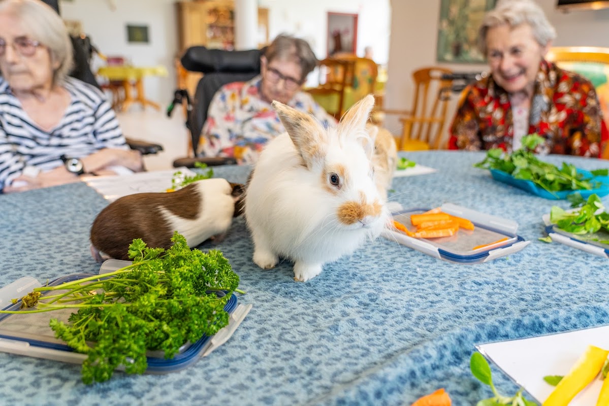 EHPAD Résidence Soleil - Photo 3 sur 4 - Chambres et hébergement