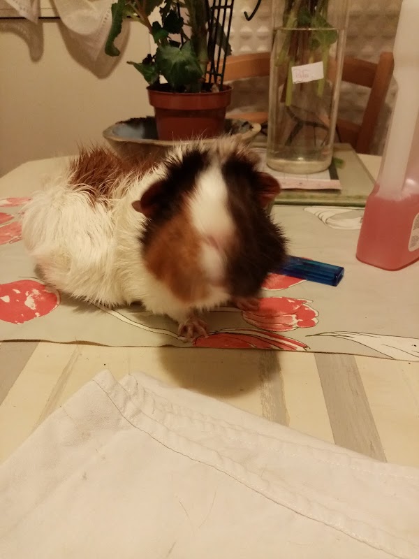 EHPAD Bel Air - Photo 2 sur 2 - Intérieur et espaces communs