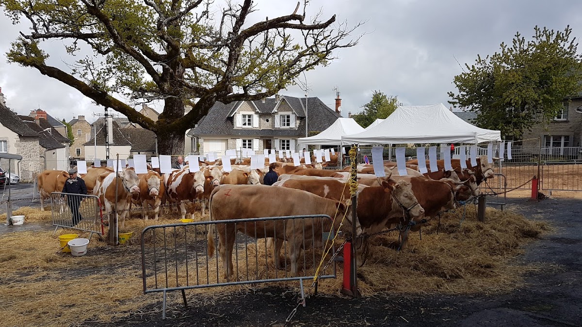 EHPAD Saint-Jean - Photo 3 sur 5 - Chambres et hébergement