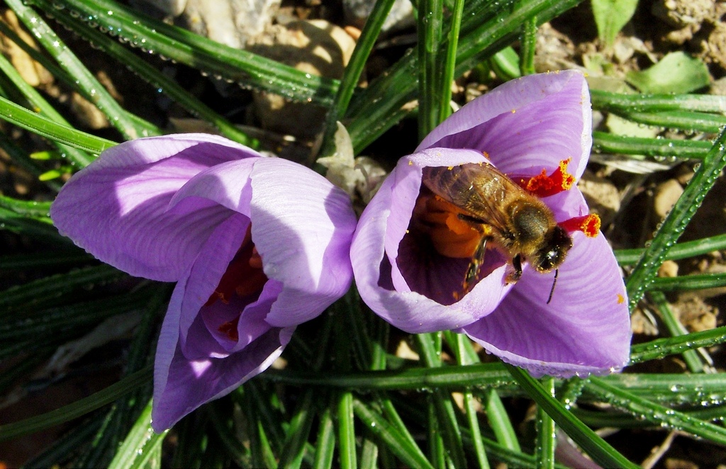 EHPAD Paul Honnorat - Photo 2 sur 5 - Intérieur et espaces communs