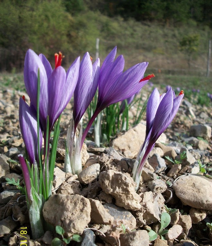 EHPAD Paul Honnorat - Photo 4 sur 5 - Espaces de vie