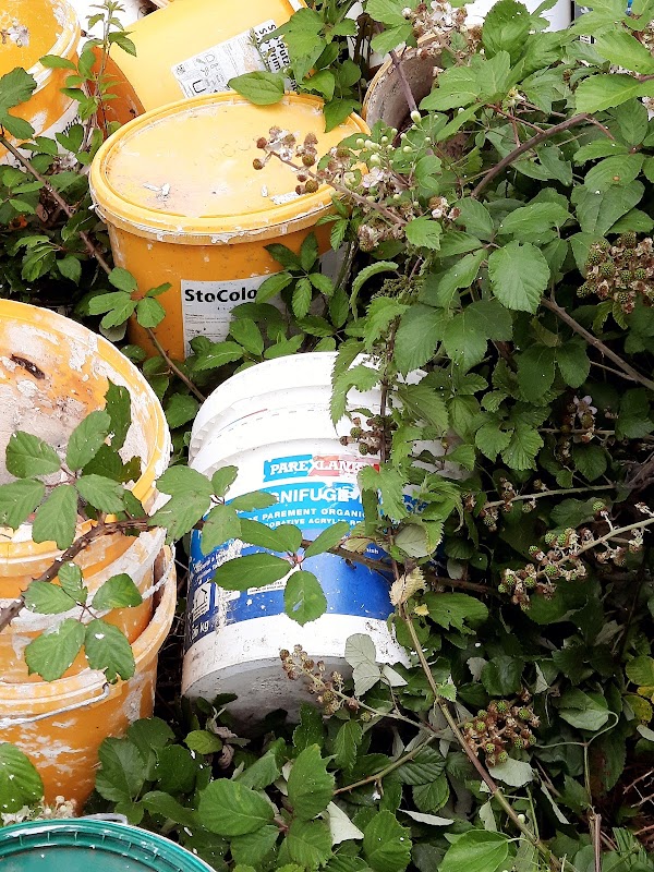 EHPAD de la Boëme - Photo 5 sur 5 - Environnement et extérieurs