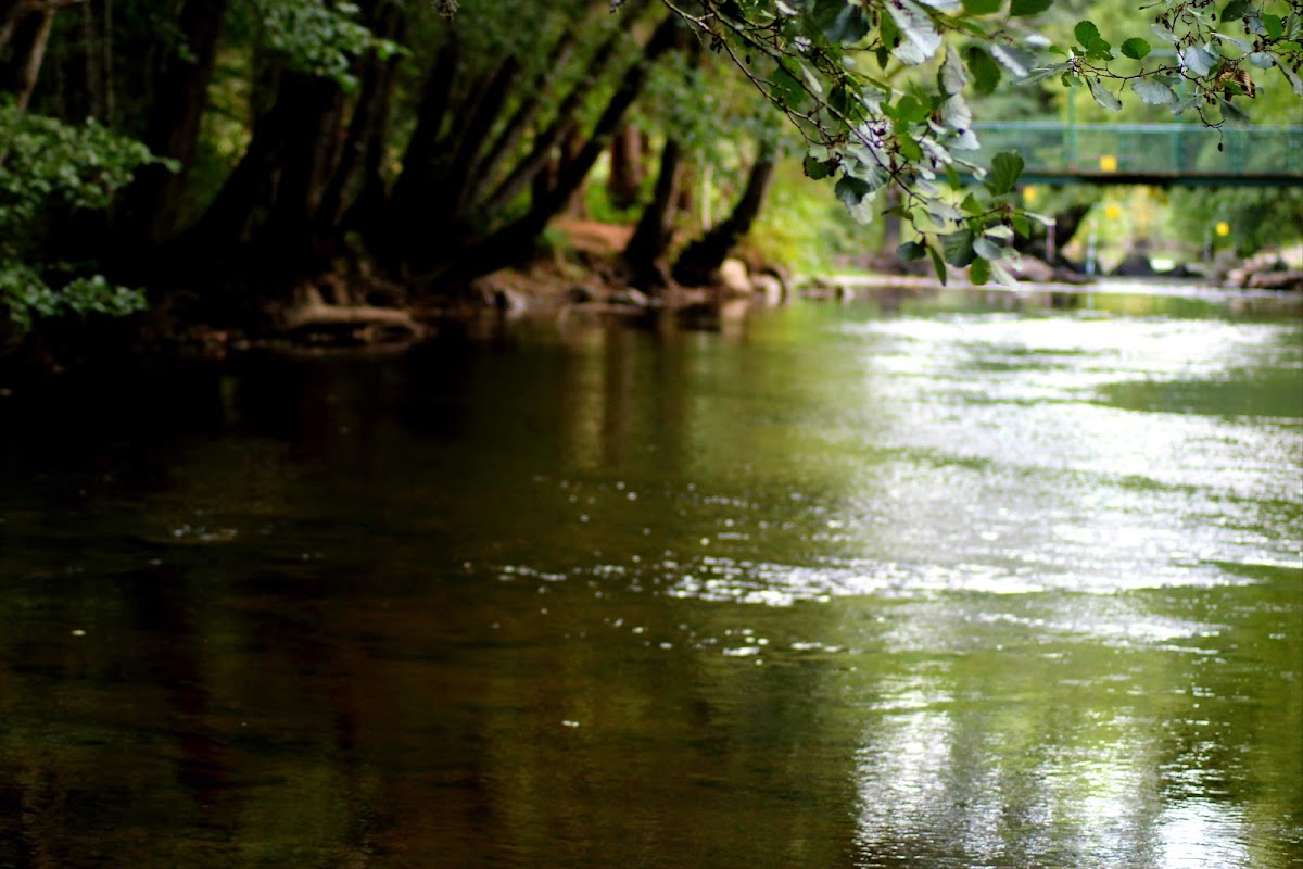 EHPAD - Résidence Les écureuils - Photo 2 sur 5 - Intérieur et espaces communs