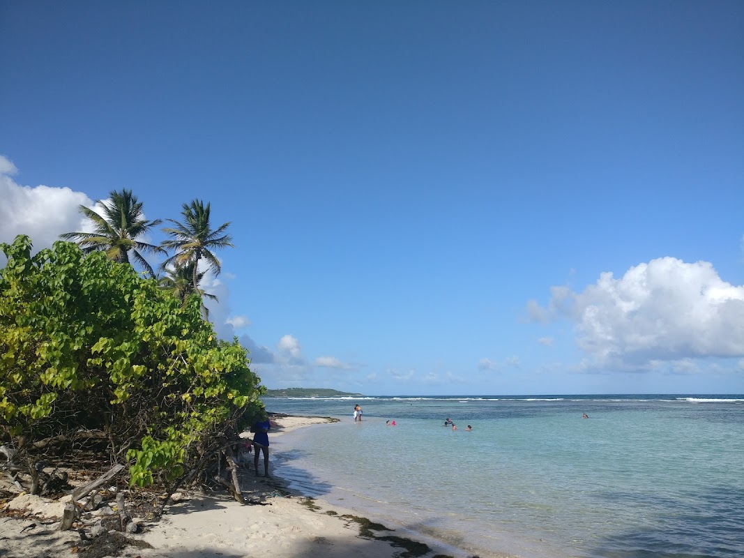 Photo de EHPAD L'Oasis de Bois Jolan, EHPAD à STE ANNE