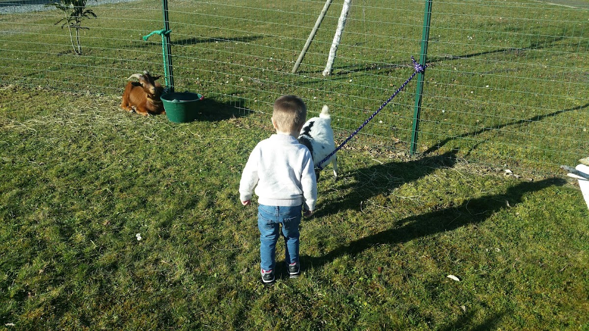 EHPAD Luy de Béarn - Photo 3 sur 5 - Chambres et hébergement