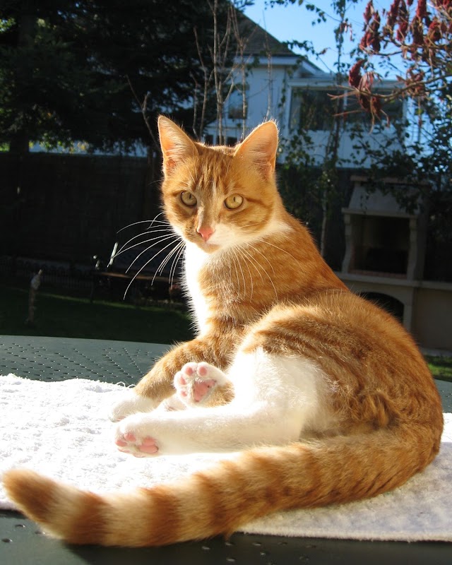EHPAD La Forêt d'Escoublac
