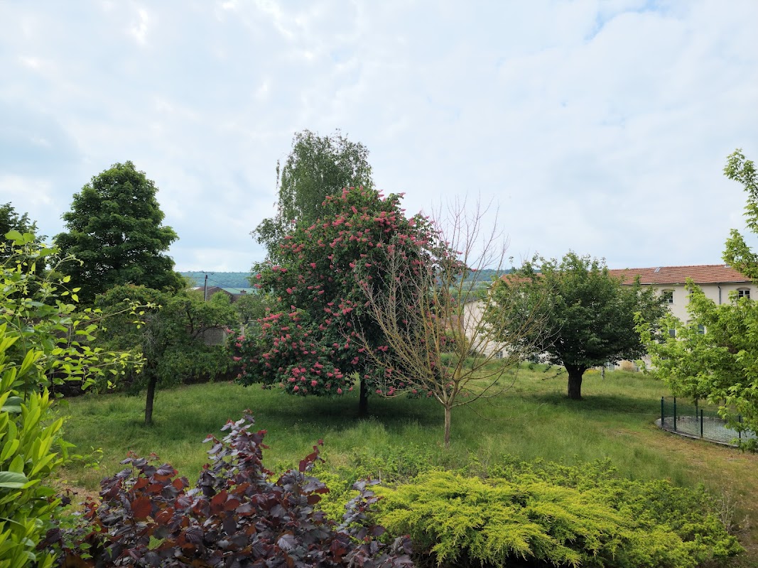 EHPAD Baudinet de Courcelles - Photo 4 sur 5 - Espaces de vie