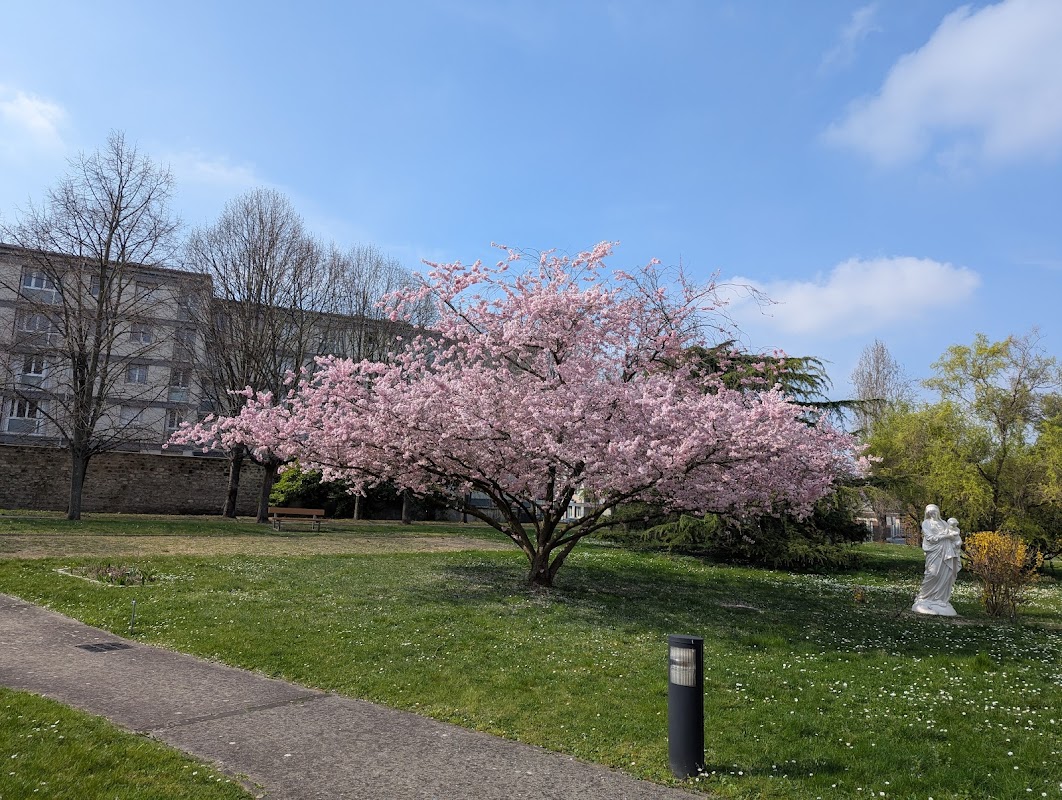 EHPAD Petites Soeurs des Pauvres - Photo 5 sur 5 - Environnement et extérieurs