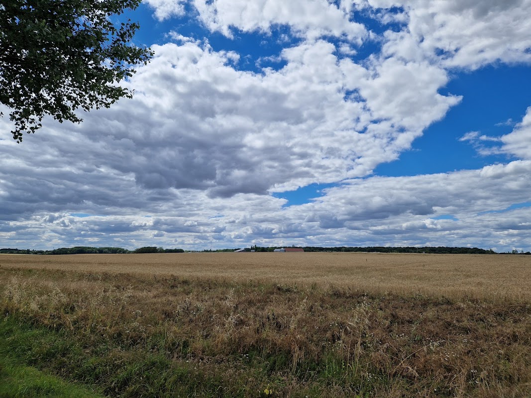 EHPAD d'Ablis - Photo 4 sur 5 - Espaces de vie