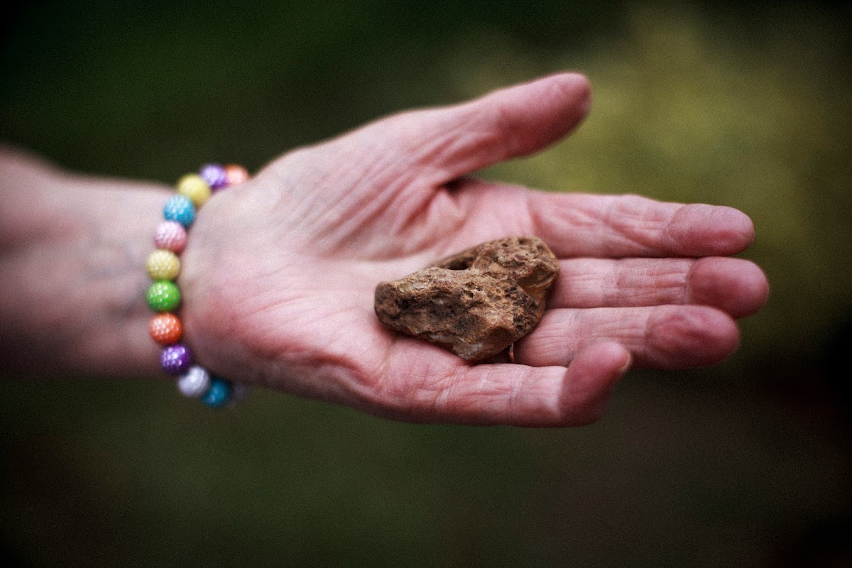 EHPAD Saint-Julien du Sault - Photo principale