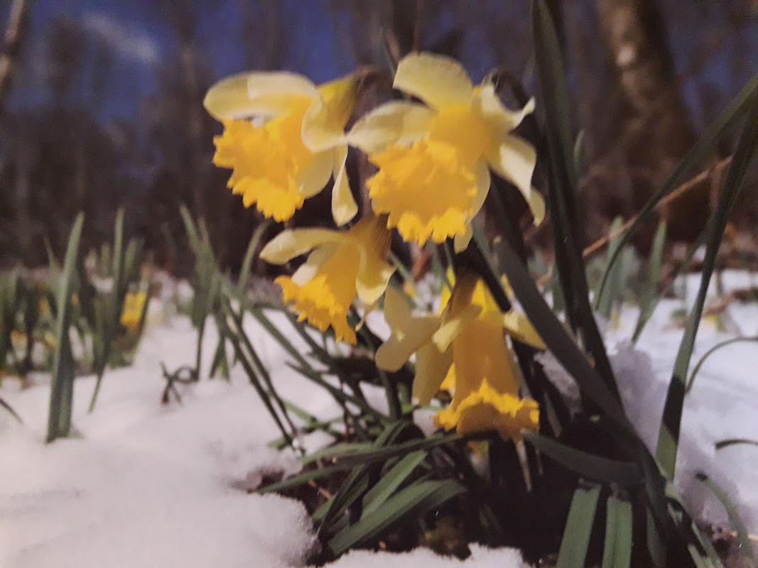 EHPAD de Belfontaine - Photo 3 sur 3 - Chambres et hébergement