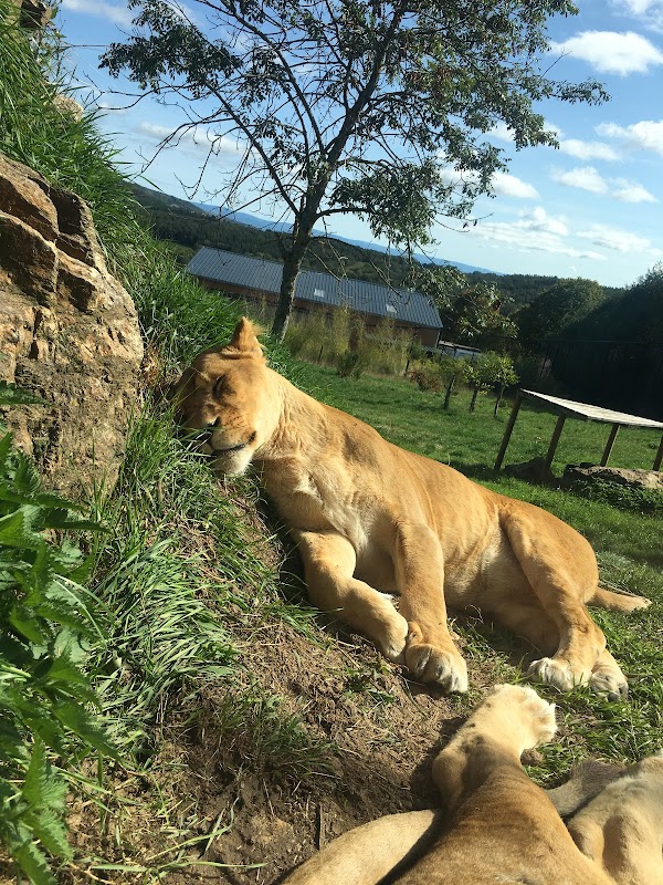 EHPAD La Roseraie - Photo 2 sur 3 - Intérieur et espaces communs