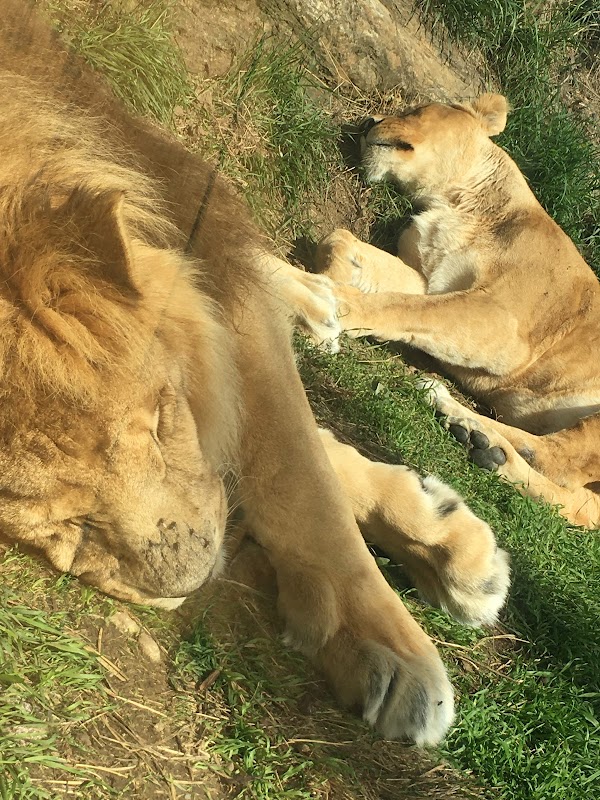EHPAD La Roseraie - Photo 3 sur 3 - Chambres et hébergement