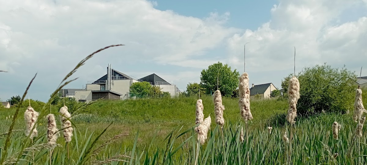 Photo de EHPAD public Le Havre Ligérien, EHPAD à MONTJEAN SUR LOIRE