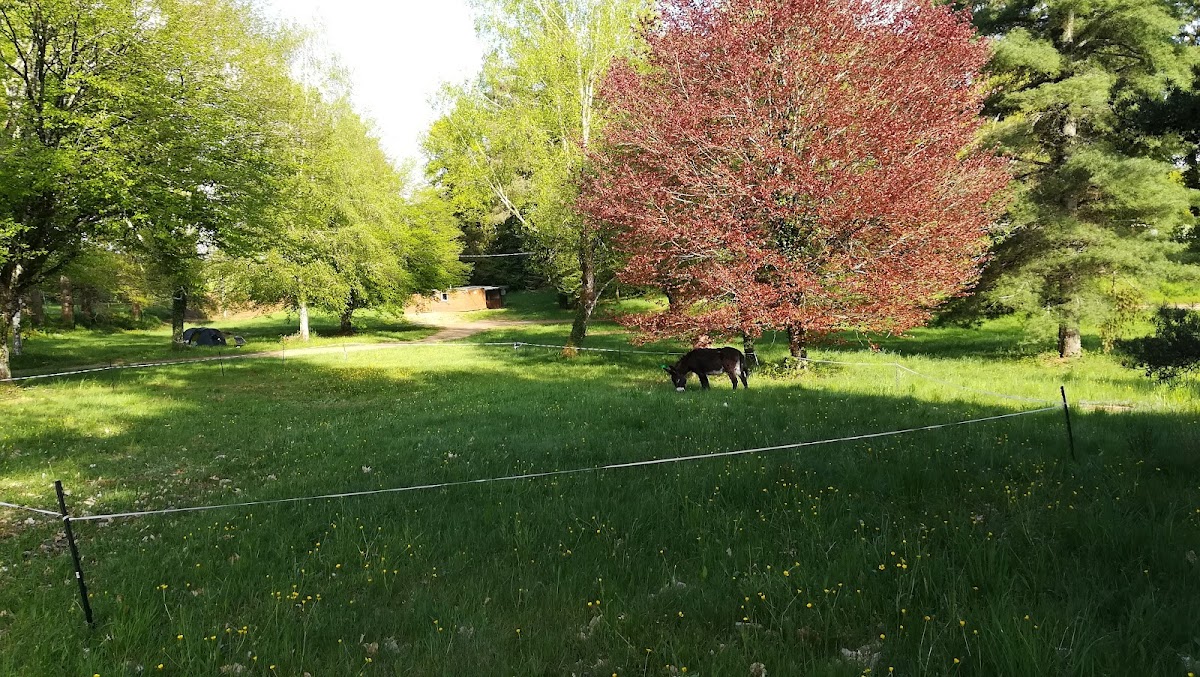 EHPAD de Chamboulive - Photo 3 sur 5 - Chambres et hébergement