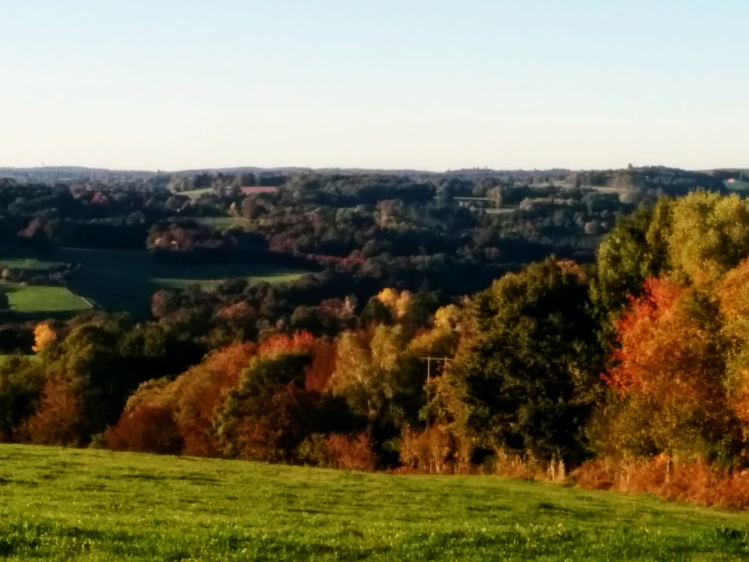 EHPAD de Chamboulive - Photo 5 sur 5 - Environnement et extérieurs