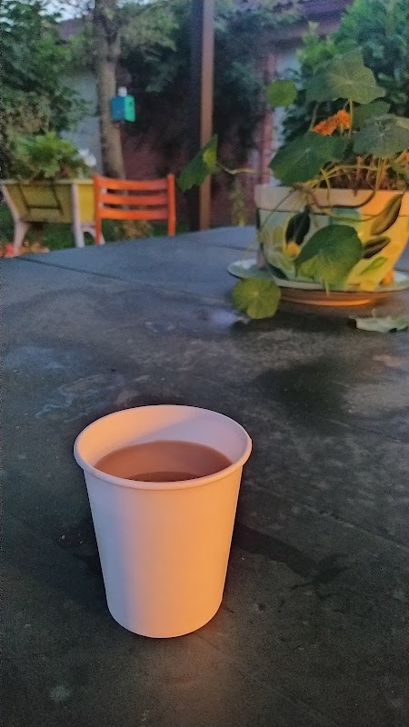 EHPAD Au Vert feuillage - Photo 4 sur 5 - Espaces de vie