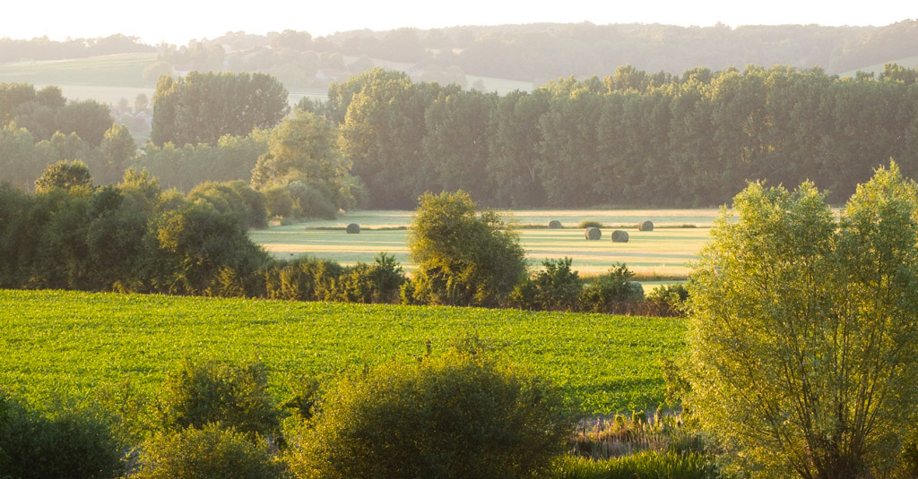 Photo de EHPAD Les Bouquets, EHPAD à BELLEGARDE EN MARCHE