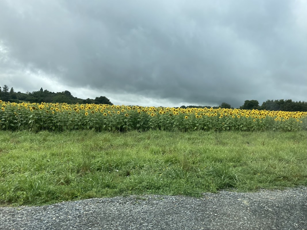 EHPAD Résidence Les Cedres - Photo 5 sur 5 - Environnement et extérieurs