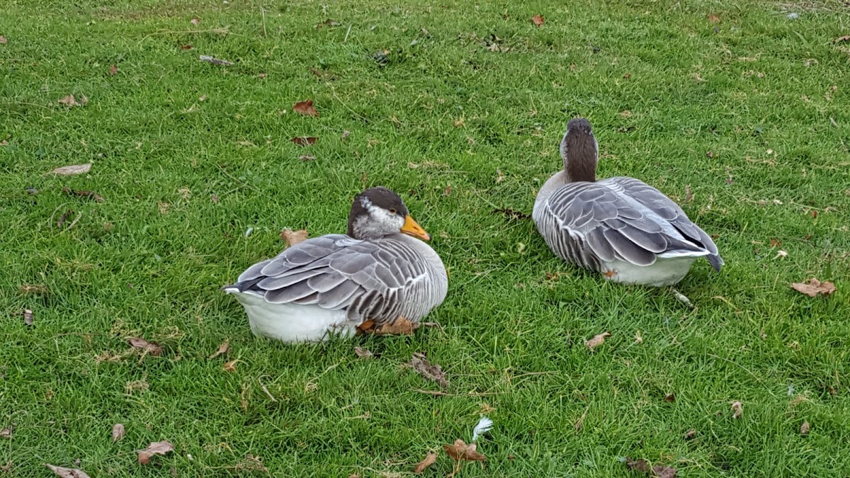 EHPAD Marie Paticat - Photo principale