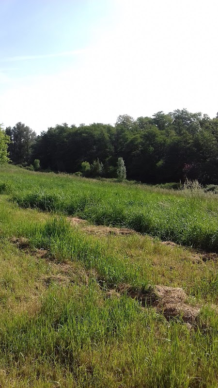 EHPAD Résidence Le Bois du Loret