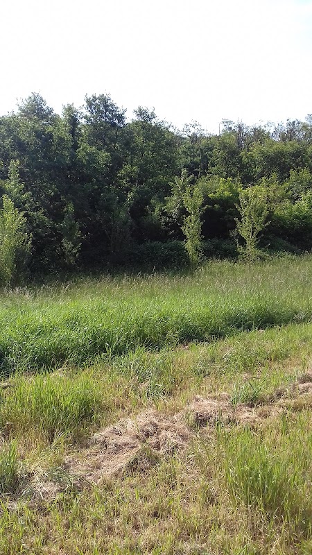 EHPAD Résidence Le Bois du Loret - Photo 3 sur 3 - Chambres et hébergement