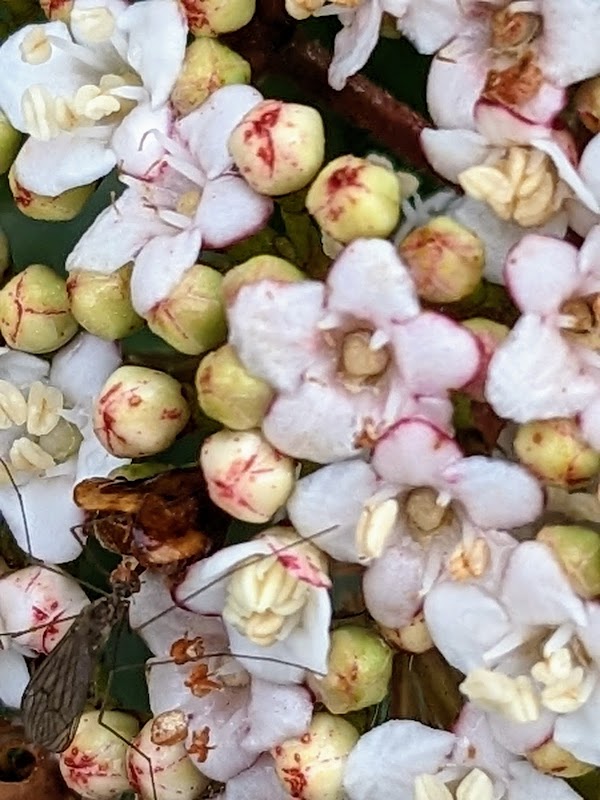 Résidence autonomie Les tulipes - Photo 2 sur 2 - Intérieur et espaces communs