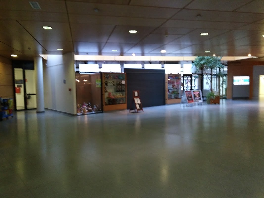 USLD du Centre hospitalier de Saint-Die - Photo 5 sur 5 - Environnement et extérieurs