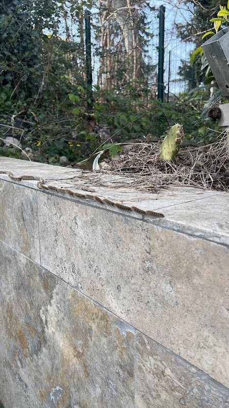 EHPAD Résidence Les Bains - Photo 5 sur 5 - Environnement et extérieurs