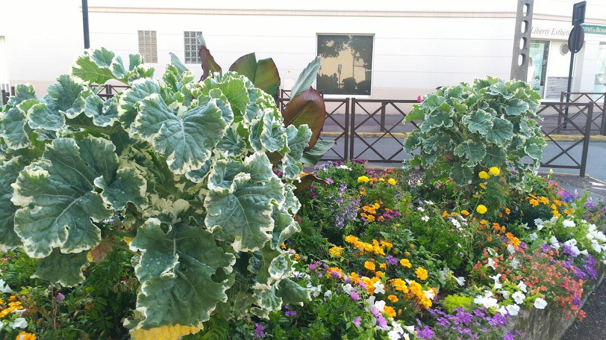 EHPAD La Roseraie - Photo 5 sur 5 - Environnement et extérieurs