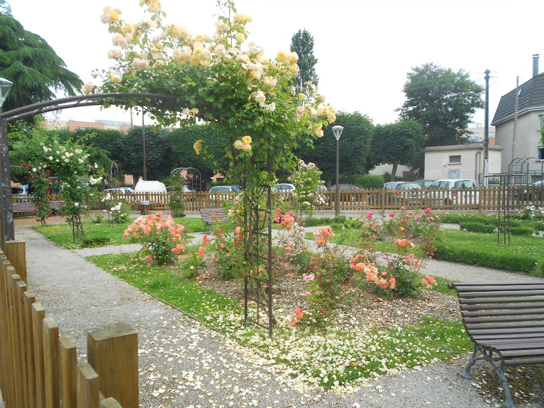 EHPAD La Roseraie - Photo 3 sur 5 - Chambres et hébergement