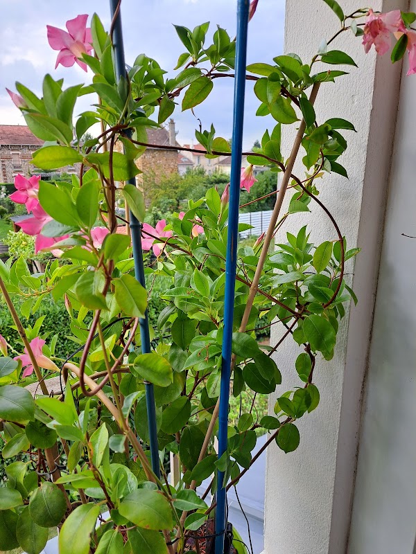 Résidence Jean Nohain - Photo 2 sur 5 - Intérieur et espaces communs