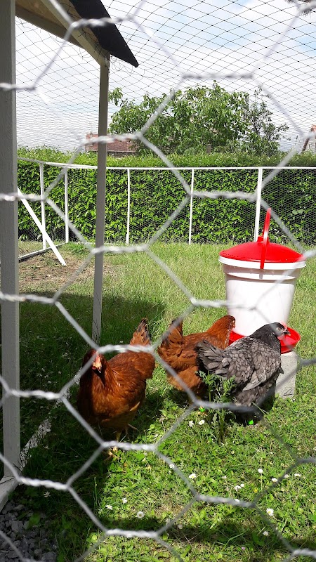 Résidence Jean Nohain - Photo 3 sur 5 - Chambres et hébergement