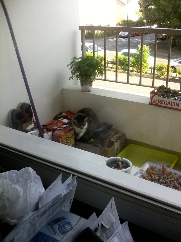 Résidence Jean Nohain - Photo 5 sur 5 - Environnement et extérieurs