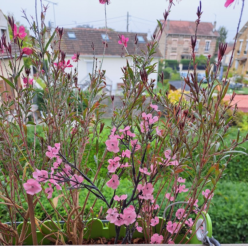 Résidence Jean Nohain
