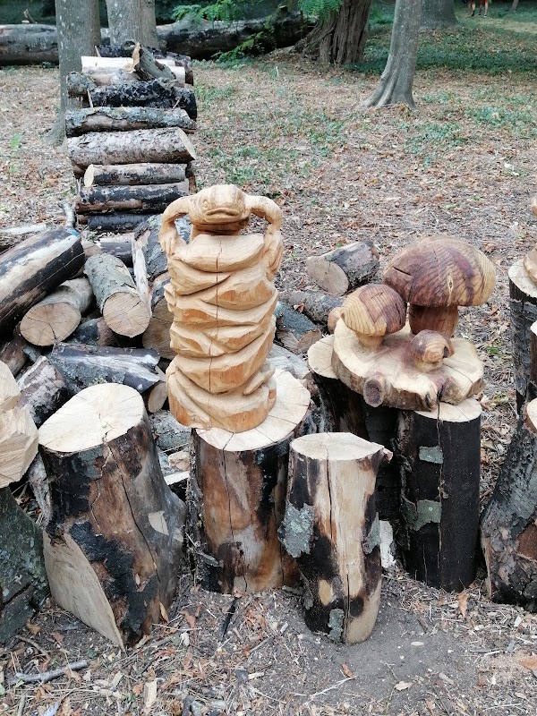 Résidence Les Rives d'Yonne - Photo 4 sur 5 - Espaces de vie