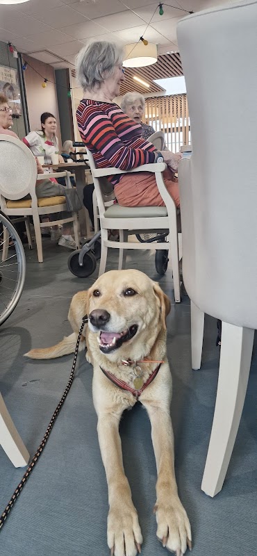 EHPAD Résidence L'abbaye Saint-Hilaire Saint-Florent - Photo 2 sur 4 - Intérieur et espaces communs