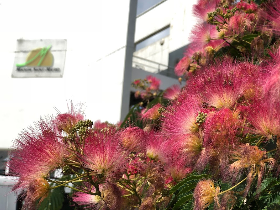 EHPAD Saint-Michel - Photo 3 sur 5 - Chambres et hébergement