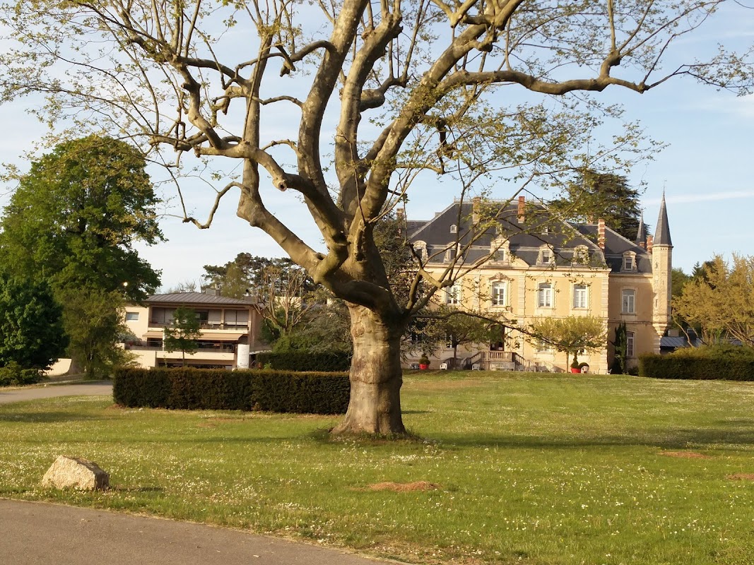 EHPAD Château de la Serra - Photo 5 sur 5 - Environnement et extérieurs
