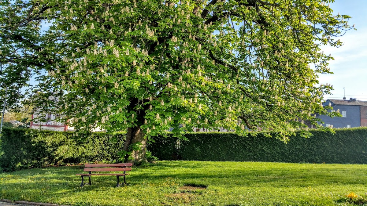 EHPAD Marescot de Vimoutiers