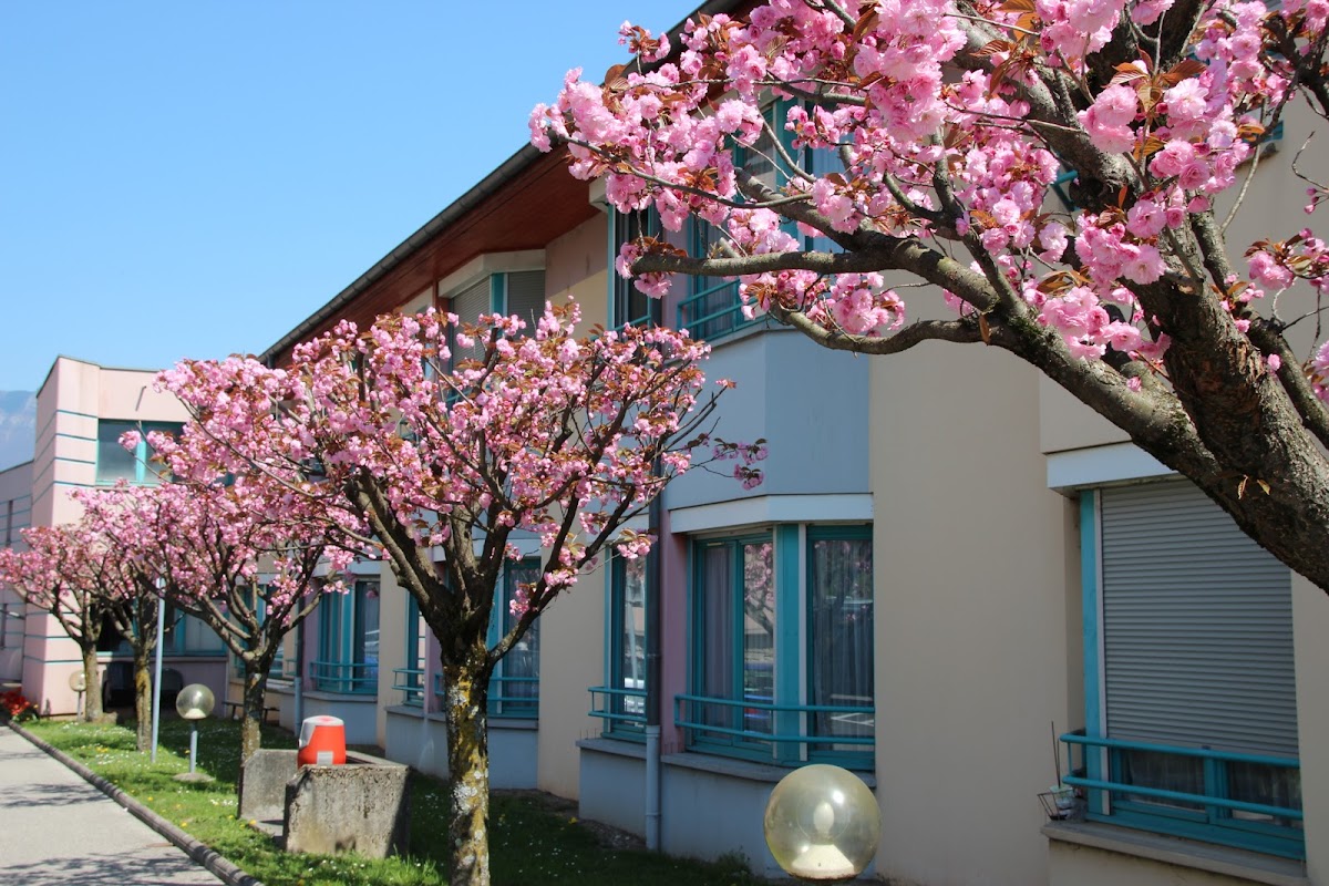 EHPAD La Cerisaie - Photo 3 sur 5 - Chambres et hébergement
